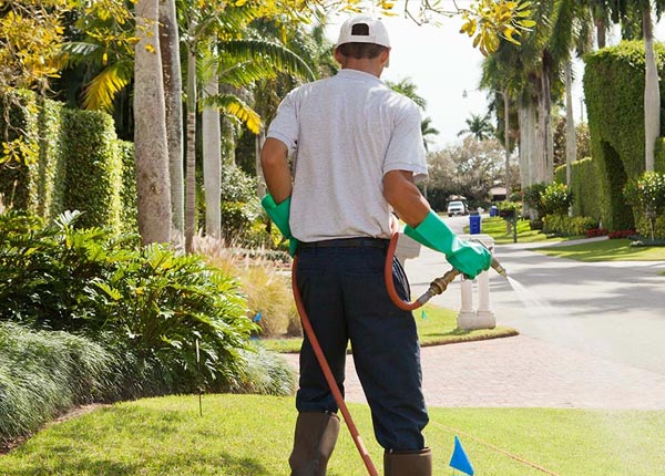 About Meadowview VA Pest Control